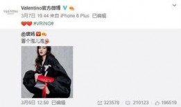 p5x最新爆料,颠覆性设计，性能再升级，揭秘未来手机新标杆！”